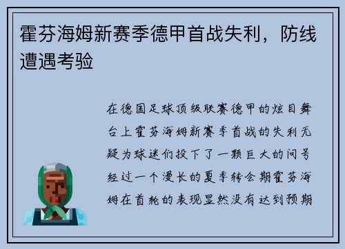 霍芬海姆新赛季德甲首战失利，防线遭遇考验